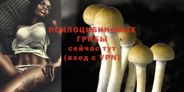 героин Алзамай