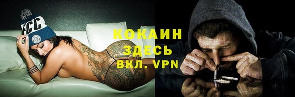 стафф Алексин