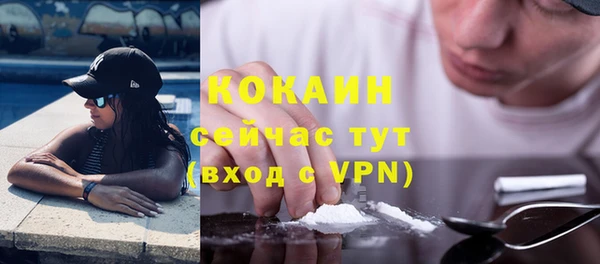 стафф Алексин