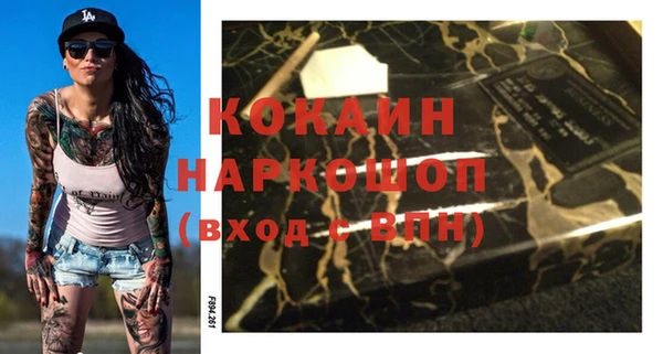 стафф Алексин