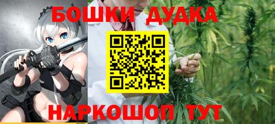 индика Ирбит
