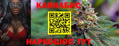 индика Ирбит