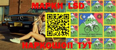 индика Ирбит