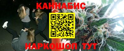 индика Ирбит