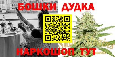 индика Ирбит