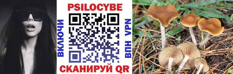 Псилоцибиновые грибы Cubensis  цена   Люберцы 