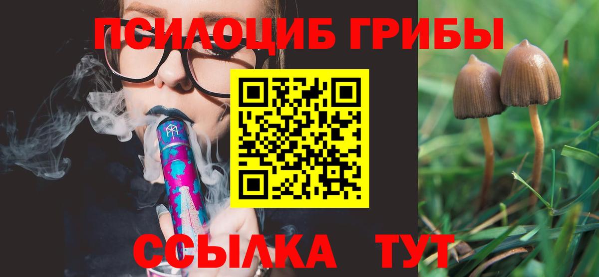 Псилоцибиновые грибы ЛСД Люберцы