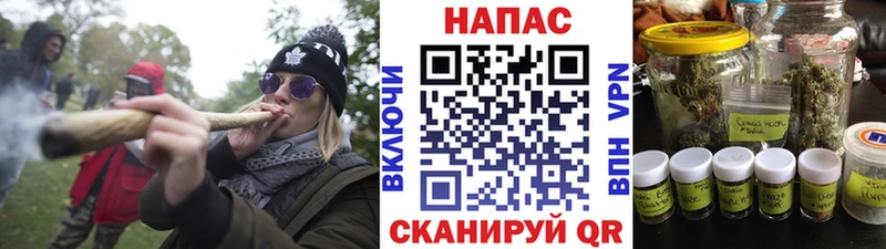 хочу наркоту  Люберцы  Канабис план 